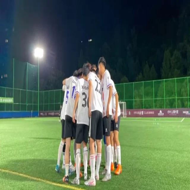 湖人附加赛形势分析努力争夺季后赛席位